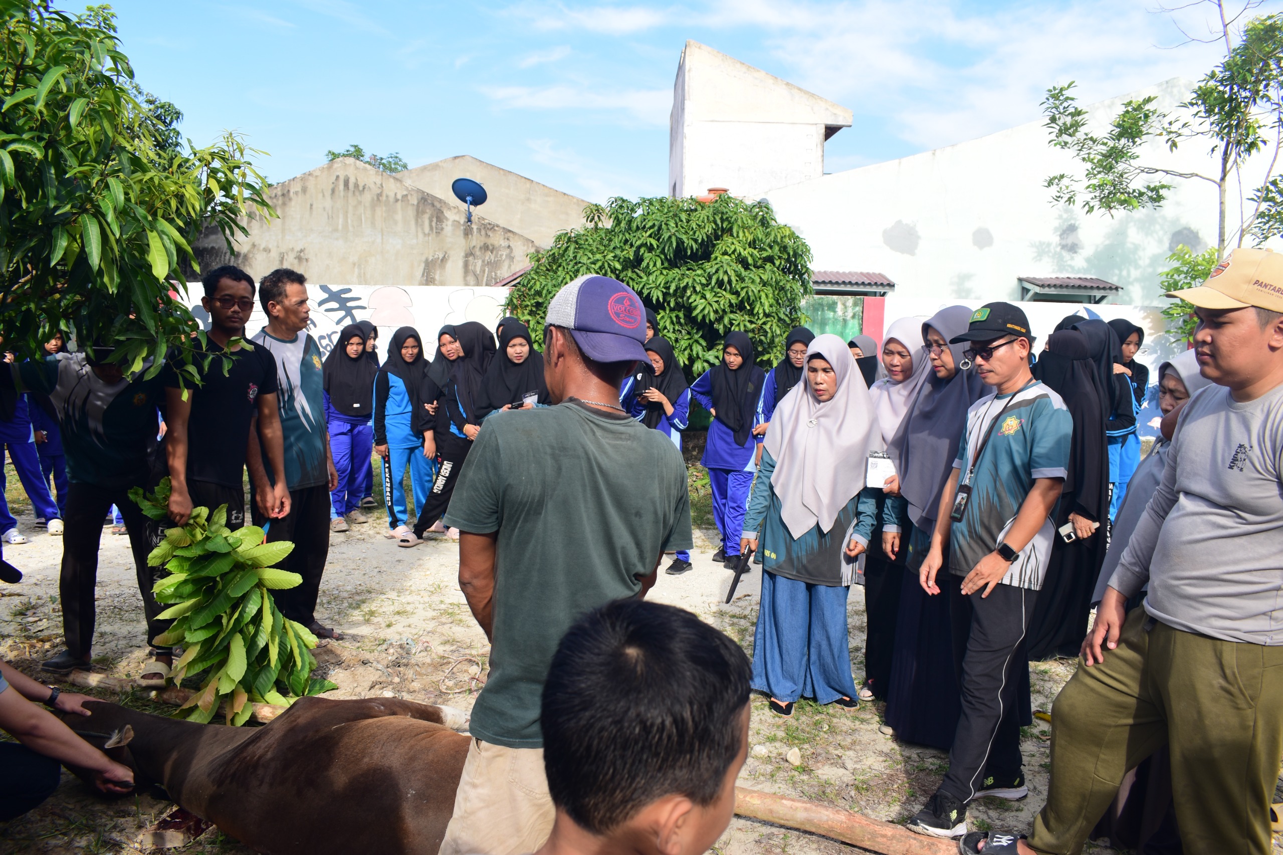Iduladha Penuh Makna, MAN 3 Kota Pekanbaru Gelar Penyembelihan Hewan Kurban